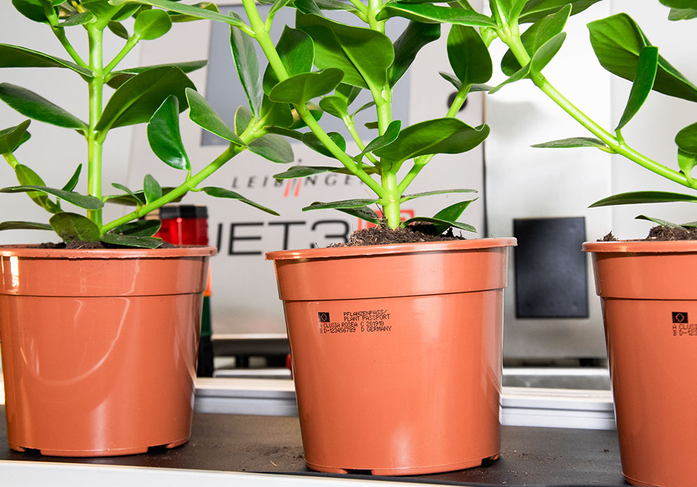 plant-passport-sample3.jpg