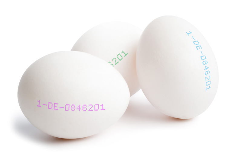 Egg coding